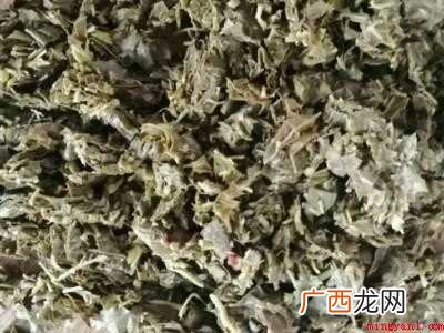 杨树叶怎么做好吃