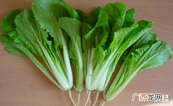 小白菜怎么种,小白菜的种法和步骤？