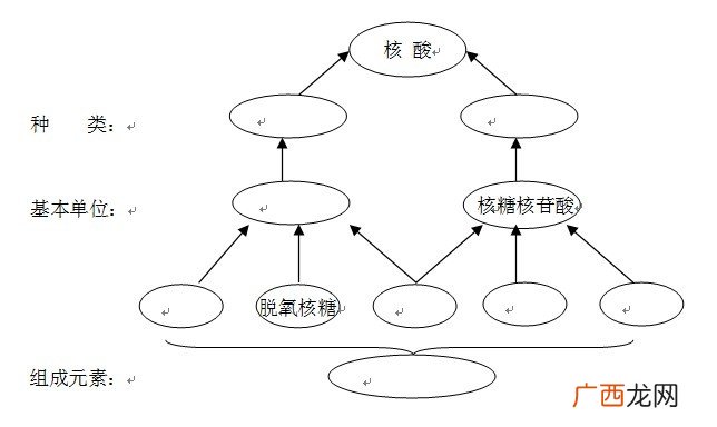 核酸的基本组成成分,核酸和核糖体有关么？
