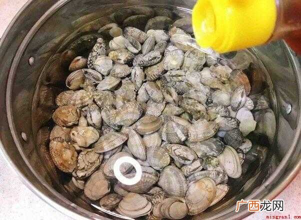 蛤蜊的营养特点有哪些? 蛤蜊怎么炒