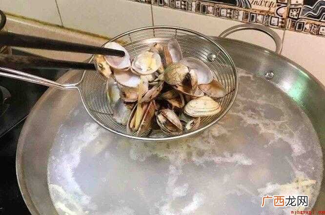 蛤蜊的营养特点有哪些? 怎么炒蛤蜊