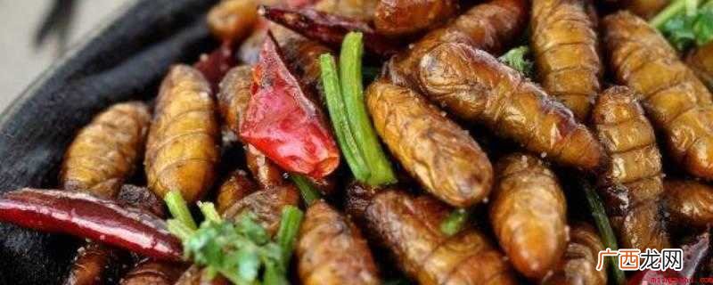 蚕蛹蛋白质中的必需氨基酸种类齐全 蚕怎么炒