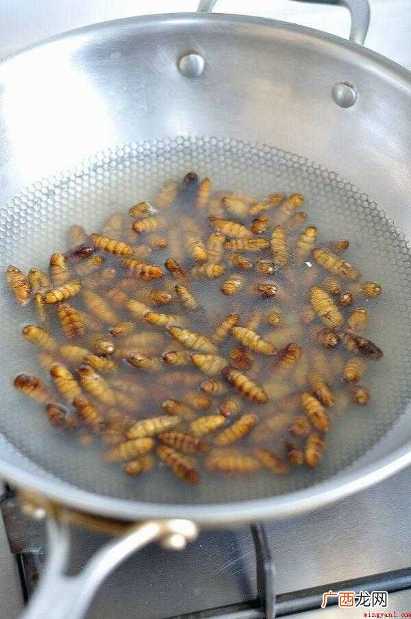 蚕蛹蛋白质中的必需氨基酸种类齐全 蚕怎么炒