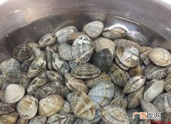花蛤、油、干辣椒、蚝油、香菜、六月鲜酱油 怎么炒花蛤