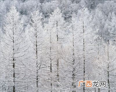 关于雪的成语并解释,冰封雪寒成语意思？