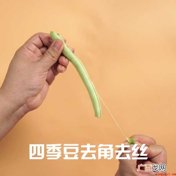 抗乙肝病毒的作用,鲜嫩荚可作蔬菜食用 四季豆怎么炒