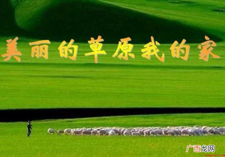 美丽的草原我的家歌词是什么 《美丽的草原我的家》歌词是什么