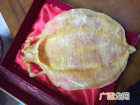鳘鱼胶多少钱一斤,鳘鱼胶一斤多少钱？