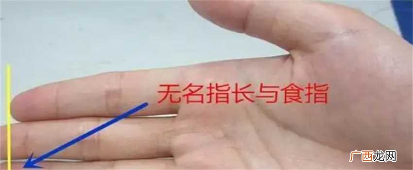 从手指长度看出你的性格