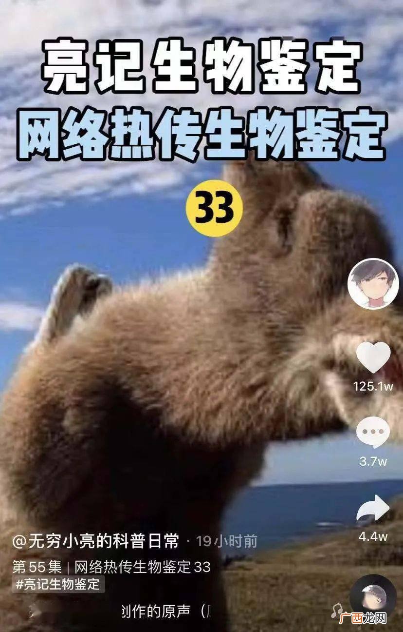 管晨辰袋鼠摇音乐是什么歌,2021年最小体操冠军是谁?
