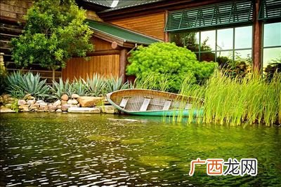 屋后种什么树最旺,北方屋后适合种什么树？
