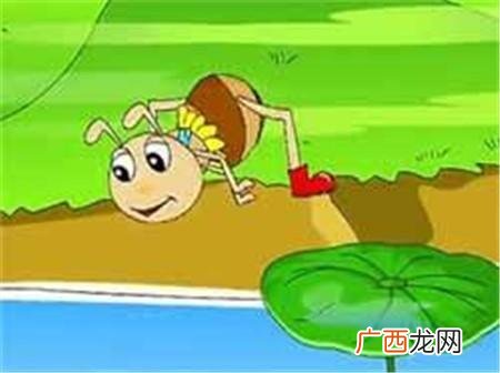 蚂蚁代表的象征意义是什么,蝙蝠和蚂蚁的象征意义是什么？