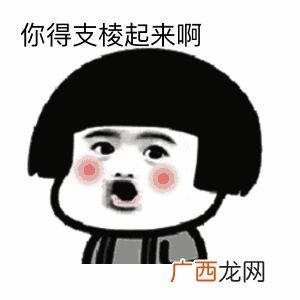 支棱起来是什么意思,你得支棱起来呀什么梗？