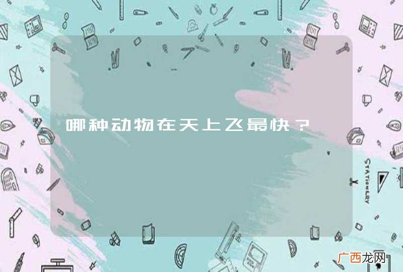 哪种动物在天上飞最快？