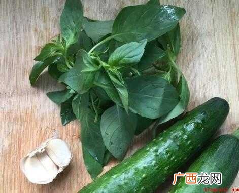 黄瓜荆芥怎么调