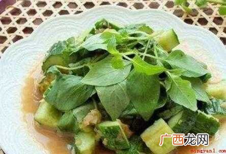 黄瓜荆芥怎么调