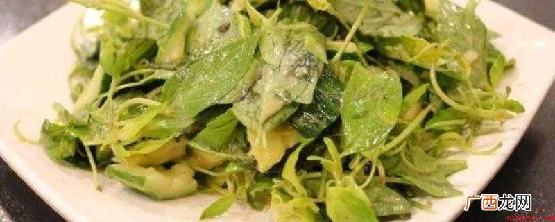 黄瓜荆芥怎么调
