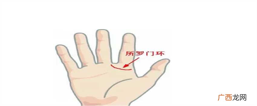 手相的四个基本线条