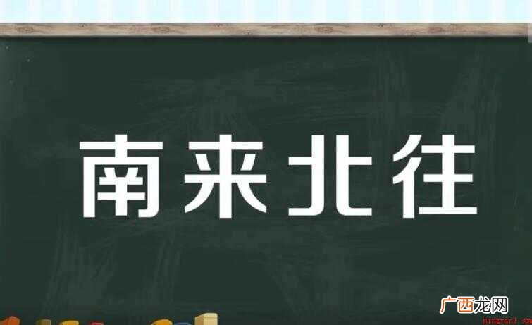 南来北往是什么意思
