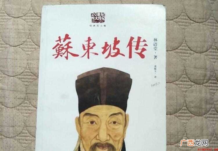 《苏东坡传》读后感怎么写