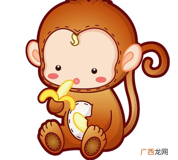 属猴是哪一年,属猴是92年的吗？