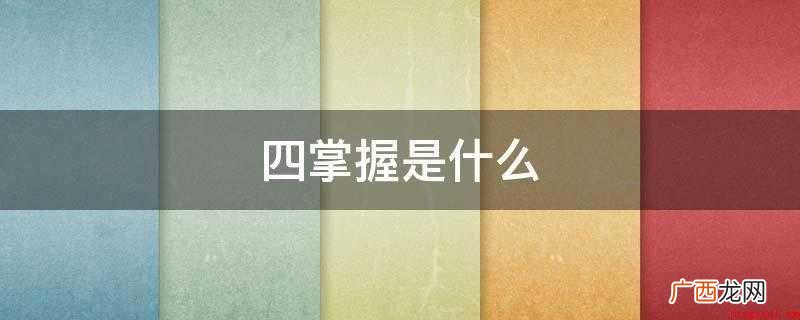 四掌握是什么