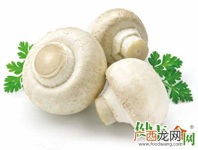 双孢菇是口蘑吗,白蘑菇和蘑菇的区别？