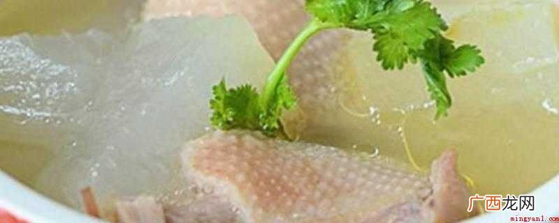 鸭子可以炖什么