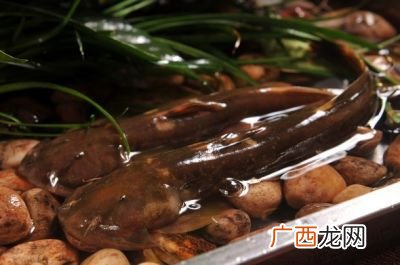 石爬子鱼的做法怎样才好吃,地爬子鱼咋吃？