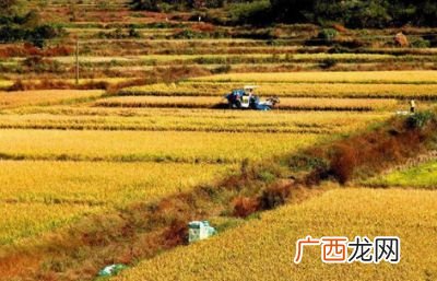一亩等于多少平方,一亩地是一千平方米吗？