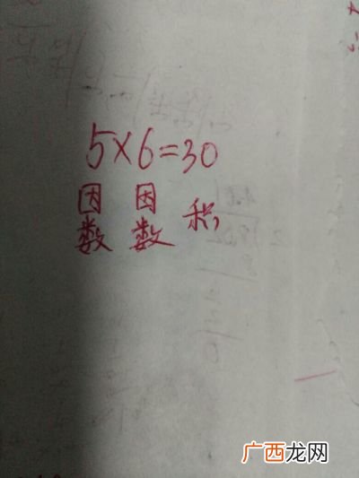 数学中的因数是什么意思,什么是因数？