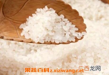 粳米是什么,什么粳米？