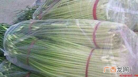 蒜苔吃不完怎么保存