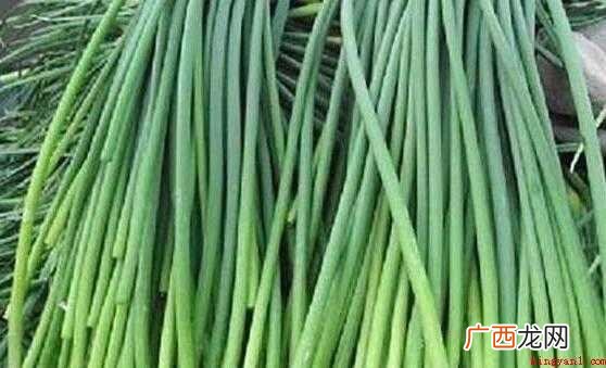 蒜苔吃不完怎么保存