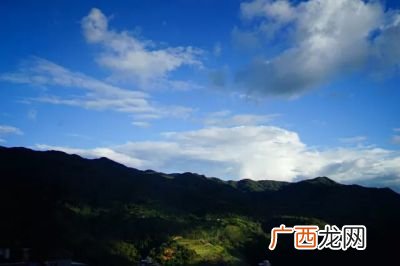 冰岛五寨是哪五寨,冰岛五寨白茶特点？