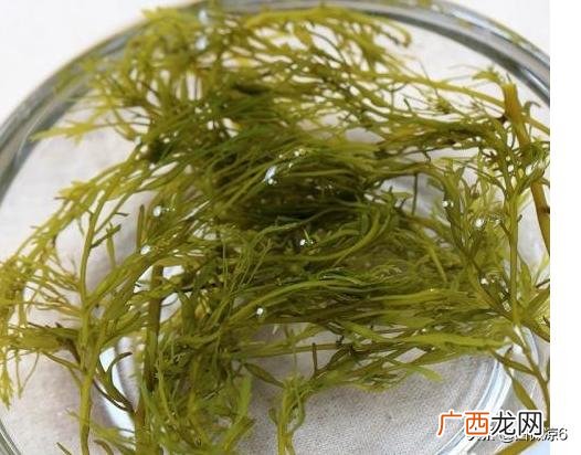 海藻怎么做好吃,盐渍马尾藻怎么吃？