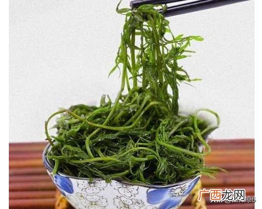 海藻怎么做好吃,盐渍马尾藻怎么吃？