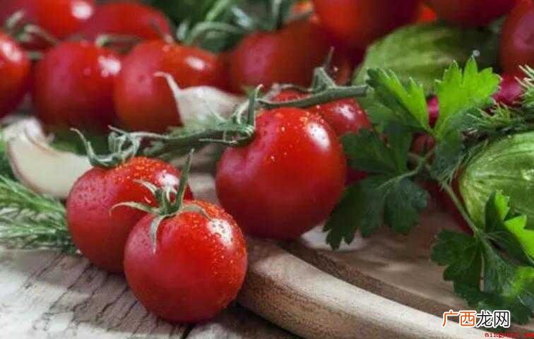 “tomato”的复数形式是什么
