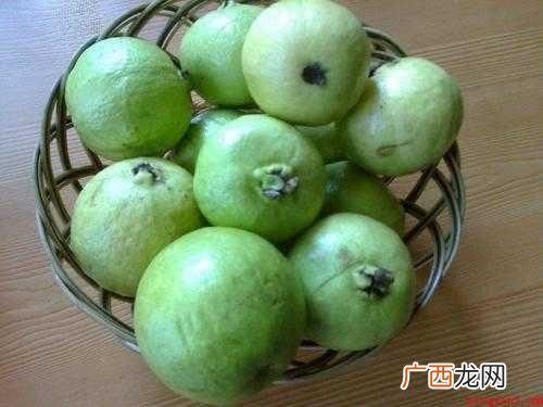 芭拉怎么食用