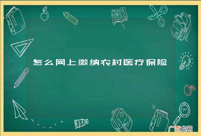 怎么网上缴纳农村医疗保险