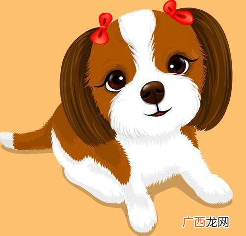 属狗的是什么命,94年二月份什么狗？