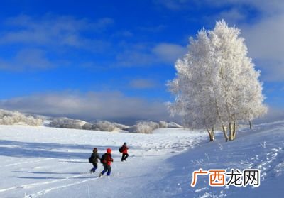 你那里下雪了吗,你那里下雪了吗什么意思?