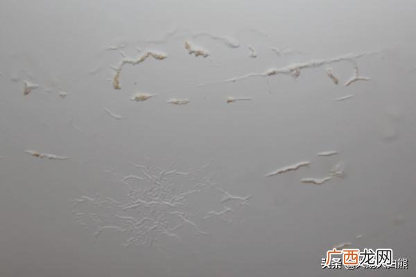 屋顶漏水怎么办,屋顶漏水了怎么办？