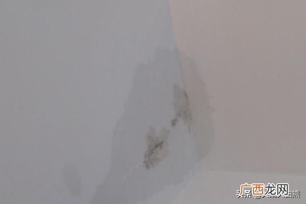 屋顶漏水怎么办,屋顶漏水了怎么办？