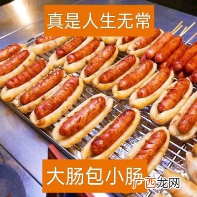 大肠包小肠是什么梗,连接猪肚的两根肠子叫什么？
