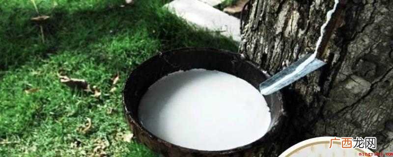 乳胶什么味道