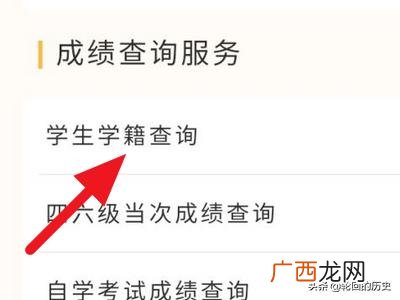 学籍号在哪里查,如何查询自己的学籍号？