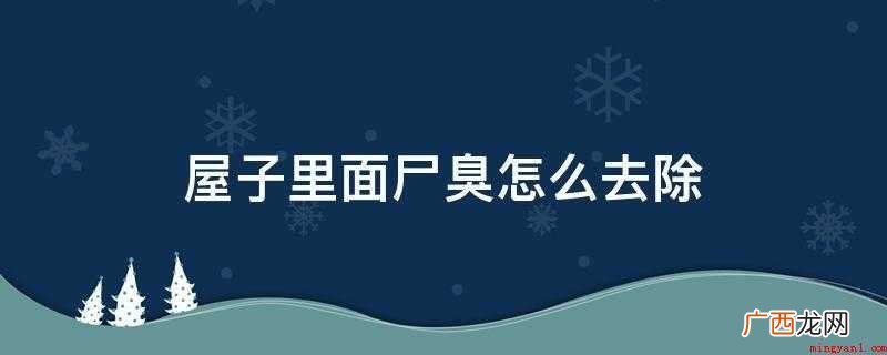 屋子里面尸臭怎么去除