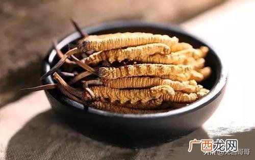 冬虫夏草怎么鉴别,冬虫夏草怎么鉴别真假？