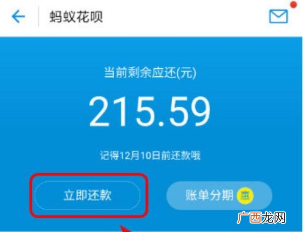 分期花呗是什么,花呗分期金额什么意思？